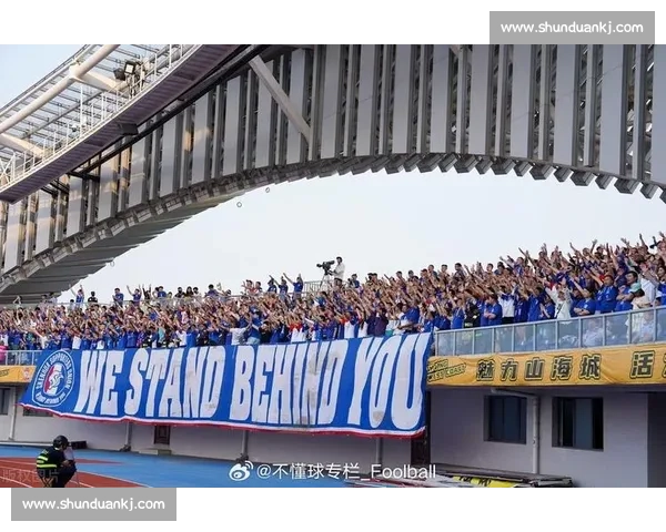 深度解读主场比赛优势与战术布局及球迷氛围影响全景分析策略探讨 - 副本 (2)